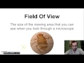 Exploring Microscopes and Field of View