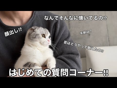 【質問コーナー】募集した質問に答えていきます！