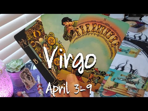 Virgo hard Working Stable They Have More Growing To