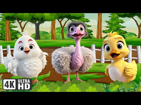 Cute Farm Animals: Chicken, Ostrich, Duck, Hen, Sheep - Animal Videos