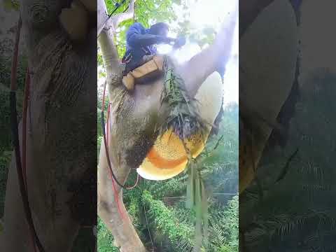 এই শীতে😱~mini wood toy- woodworking art skill #shortvideo