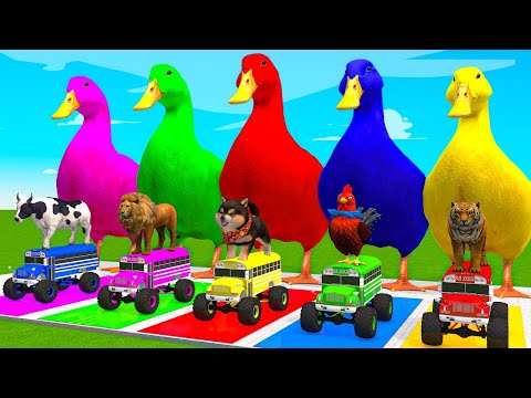 5 Giant Duck Cartoon,Elephant,Giraffe,Cow,Tiger,Lion, Paint Wild Animals Crossing Fountain Animation