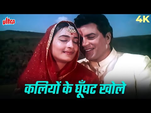 मुहम्मद रफ़ी का रोमांटिक गाना - कलियों ने घूँघट खोले 4K | Dharmendra, Nutan | Dil Ne Phir Yaad Kiya