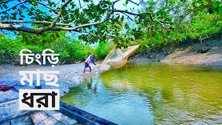 সুন্দরবনের গভীর জঙ্গল থেকে প্রচুর চিংড়ি মাছ ধরলাম।@naturalsundarban