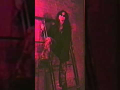 babydoll never misses