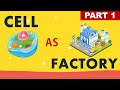 Cell Structure and Function Concepts