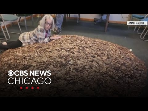 YouTube video thumbnail: Contractor in Maine Pays $20K City Fine in Coins