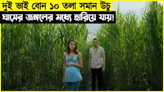 দুই ভাই বোন ১০ তলা সমান উচু ঘাসের ভেতর আটকে যায়!