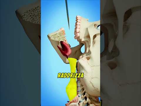 La magia dell'ingoiatore di spade😱