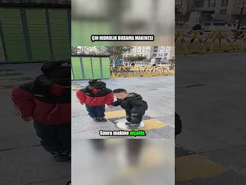 Çin hidrolik budama makinesi