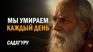 Почему вы несчастны? Ответ вас удивит | Садхгуру #совет