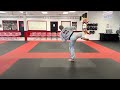 Martial Arts Techniques and Focus Areas