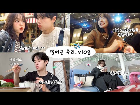 굿바이 오사카👋 우리가 잠시 떨어진 진짜 이유..vlog (6년만에 혼자 간 한국🇰🇷, 고척돔 결혼식이요?💍, 일본의 결혼문화, 대전 맛집, 성심당 뿌시기🥖, 크리스마스네일)