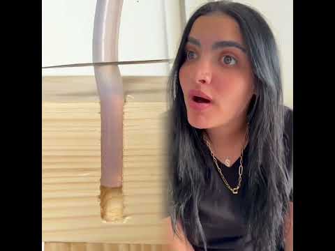 و هي دي عظمة الأب#mounayri #viral #pov