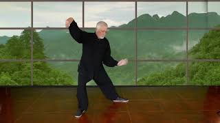 Tai Chi Form - Wind River Tai Chi