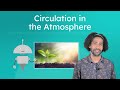 Understanding Global Wind Patterns and Their Effects