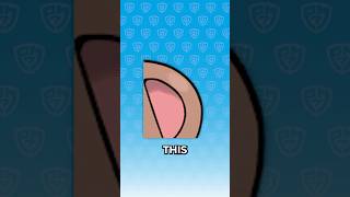 Guess the Secret Pokemon from THIS #Pokemon #shorts