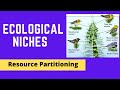 Resource Partitioning and Ecological Niches