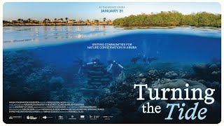 Turning the Tide | Official Trailer
