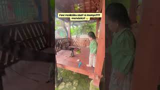 ada topeng monyet datang #hiburansegar #topengmonyet #kids