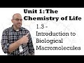 Macromolecules and Their Reactions