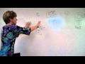 Molecular Shapes and Intermolecular Forces