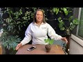 Plant Identification Apps Overview