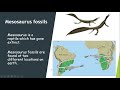 Wegener's Continental Drift Hypothesis