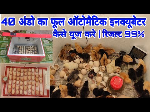 40 अंडो वाले फुल ऑटोमैटिक इनक्यूबेटर को कैसे यूज करें | Result 99% | How to use an incubator