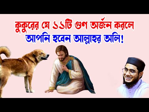 কুকুরের যে ১১টি গুণ অর্জন করলে আপনি হবে আল্লাহর অলি muftishahidur rahman mahmudabadi bd waz ulamatv