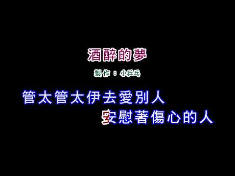 (伴奏版)江蕙-酒醉的夢(DIY卡拉OK字幕)