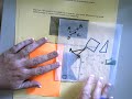 Understanding Area and Shapes Concepts