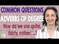Understanding Adverbs of Degree