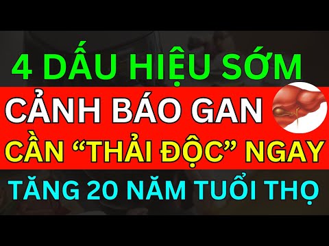 BÁC SĨ MÁCH 4 DẤU HIỆU SỚM CẢNH BÁO "GAN CẦN THẢI ĐỘC NGAY" NGỪA CẢ TỶ BỆNH SỐNG THỌ 100 TUỔI