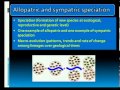 Speciation and Evolution Concepts
