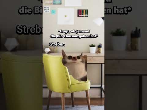 POV: Die Klassengruppe um 3 Uhr nachts😂 #katzenvideos #katze #lustig #shorts #schule