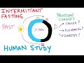 Intermittent Fasting Study Insights