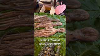 斐济艾滋病泛滥了吗？Is AIDS rampant in Fiji?