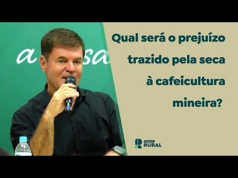 Qual será o prejuízo trazido pela seca à cafeicultura mineira?