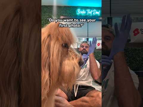 Recreating my dog’s first photo! #goldendoodle #puppy #dogdad #transformation