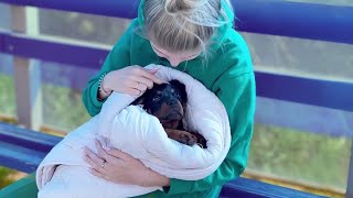She Was Given Up Because of Her Illness… But Love Gave Her a Second Chance
