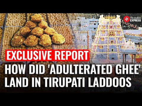 Exclusive: What SIT Report On Tirupati Laddoos 'Adulteration' Case Reveal | Shocking Details