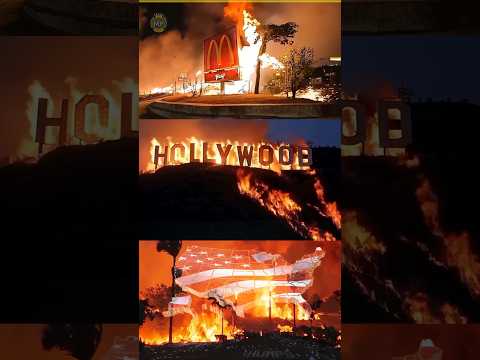America Los Angeles || में आग 🔥 कैसे लगी ? || #losangeles