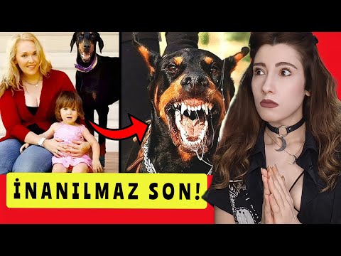 Bu Aile Bir Doberman Sahiplendi Ama 5 Gün Sonra KORKUNÇ Bir Çığlık Duydular! (Gerçek Hikaye)