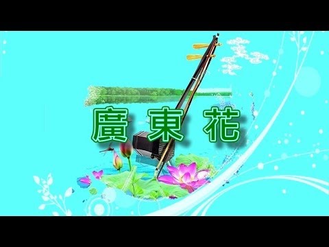 廣東花【二胡演奏】