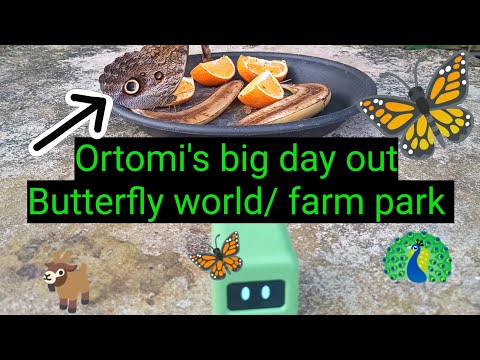 Ortomi's big day out, Butterfly world/farm park #ortomi #robot #animals #butterfly #wildlife #farm