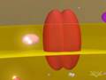 Exploring the Electron Transport Chain in Cellular Respiration