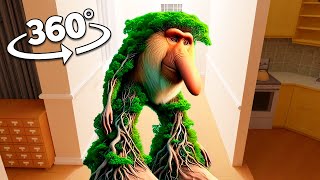 Brr Brr Patapim 360° in YOUR HOUSE!