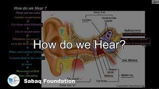 How Do We Hear?