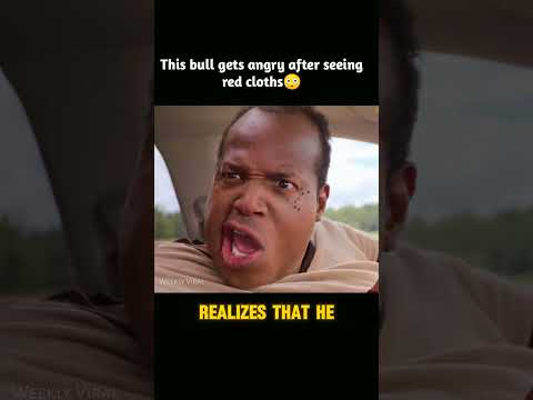 This bull gets angry after seeing red cloths #shorts
